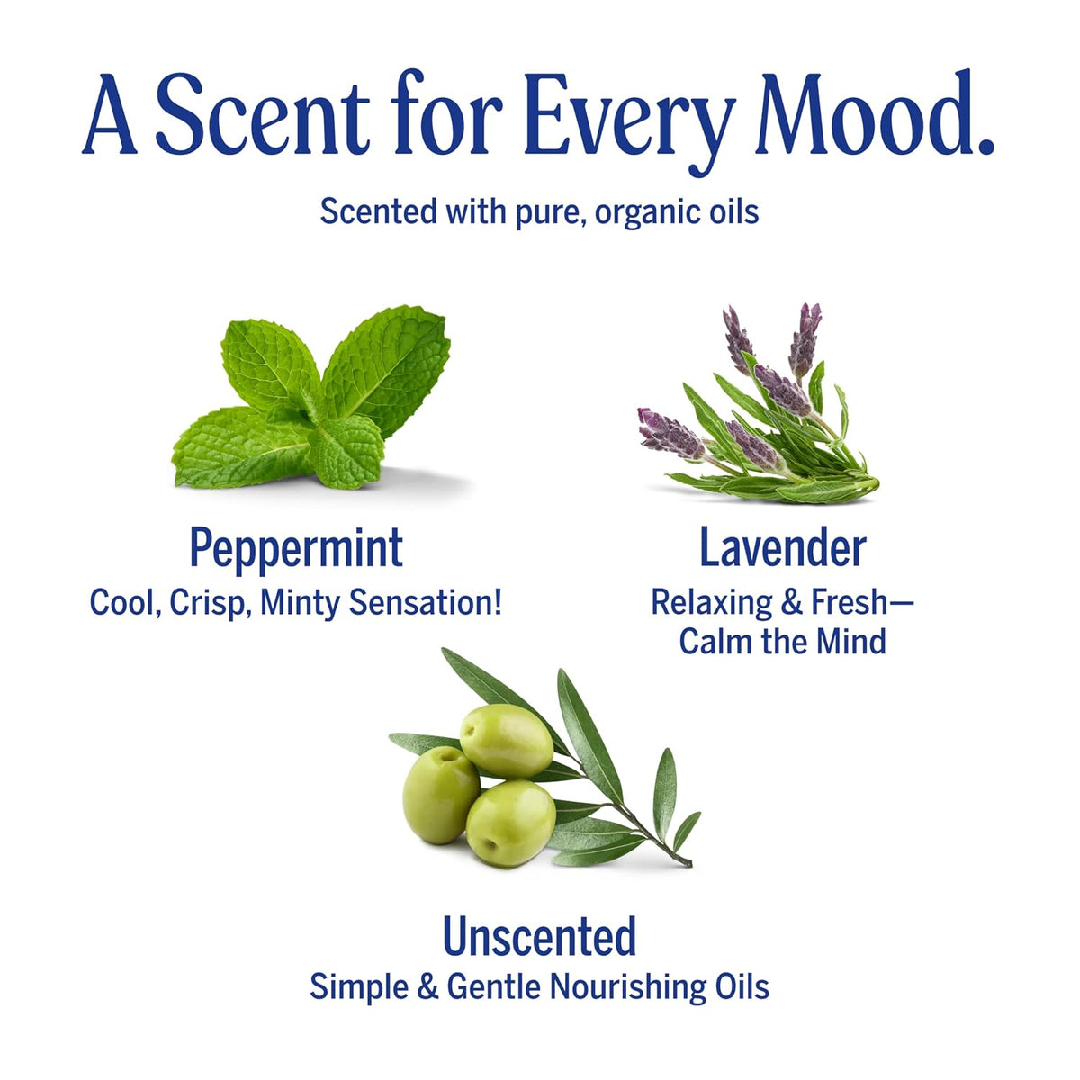 Dr. Bronner's Pure-Castile Magic Bar Soaps (5 Ounce Variety Gift Pack) Almond, Unscented, Lavender, Peppermint, Citrus, Rose - Made with Natural & Organic Certified Oils, Vegan, Non-GMO
