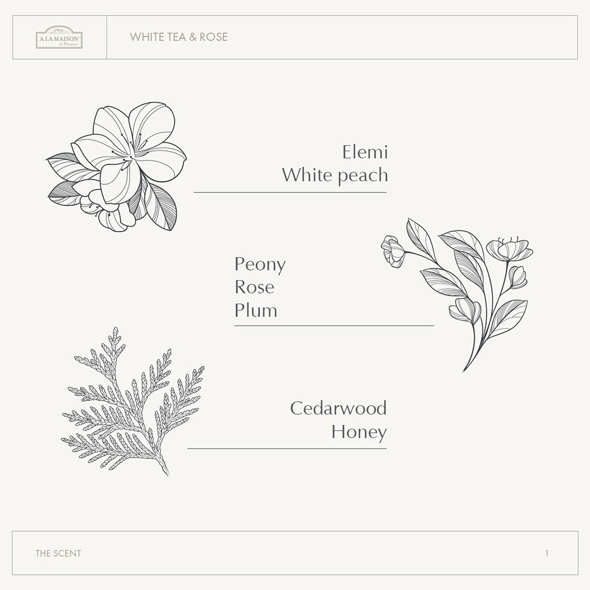 A LA MAISON Earth Body Scrub – White Tea & Rose – Natural Pumice Scrub with Shea Butter & Olive Oil – Gently Exfoliates & Softens Skin – French Formula – Plant-Based – 7 oz – Amber Collection
