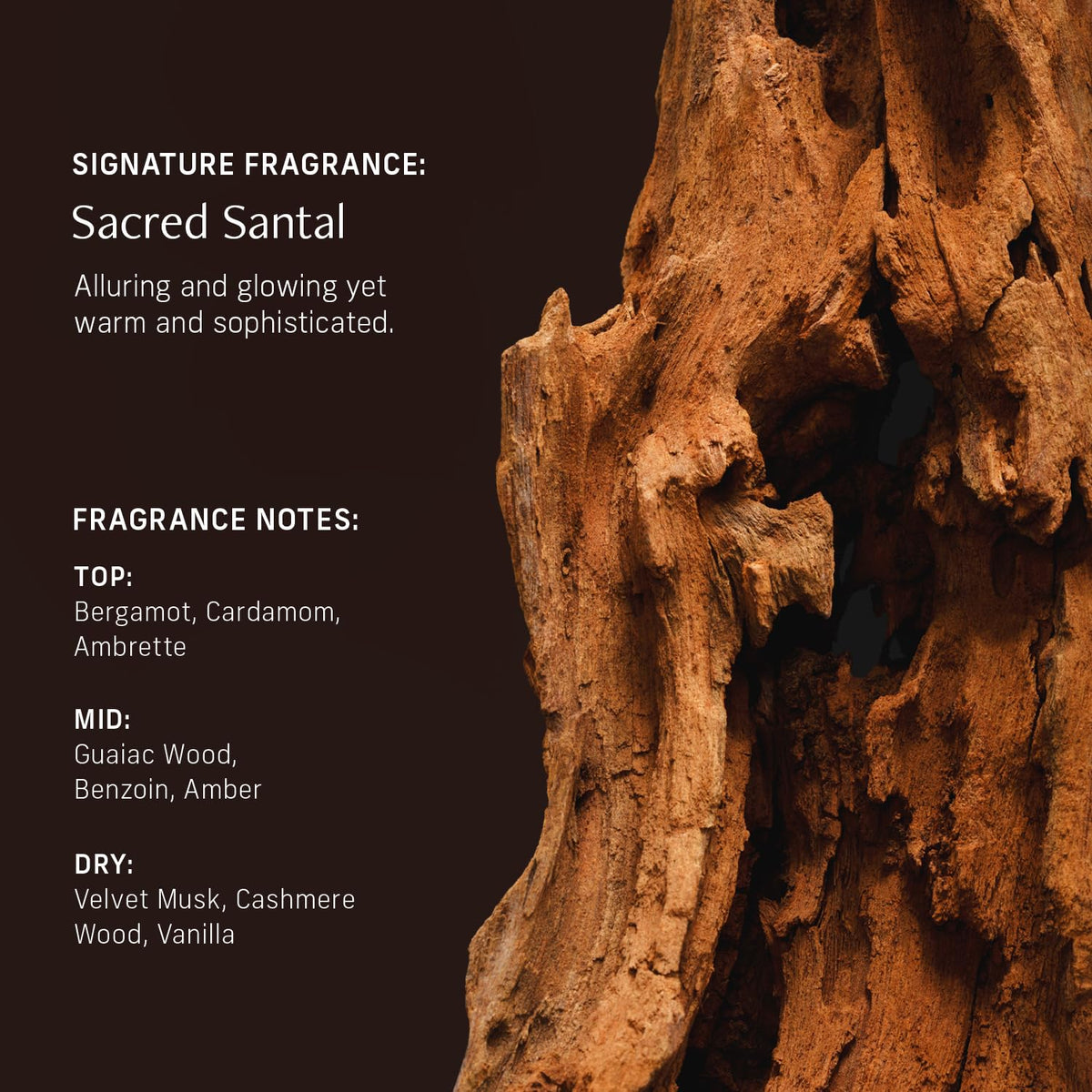 CYKLAR Sensorial Multi-Oil Body Wash Cleanser, Sacred Santal 16.5 Fl Oz
