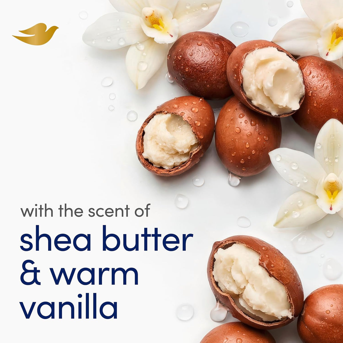 Dove Beauty Bar Soap Shea Butter 4 Count 3.75 oz