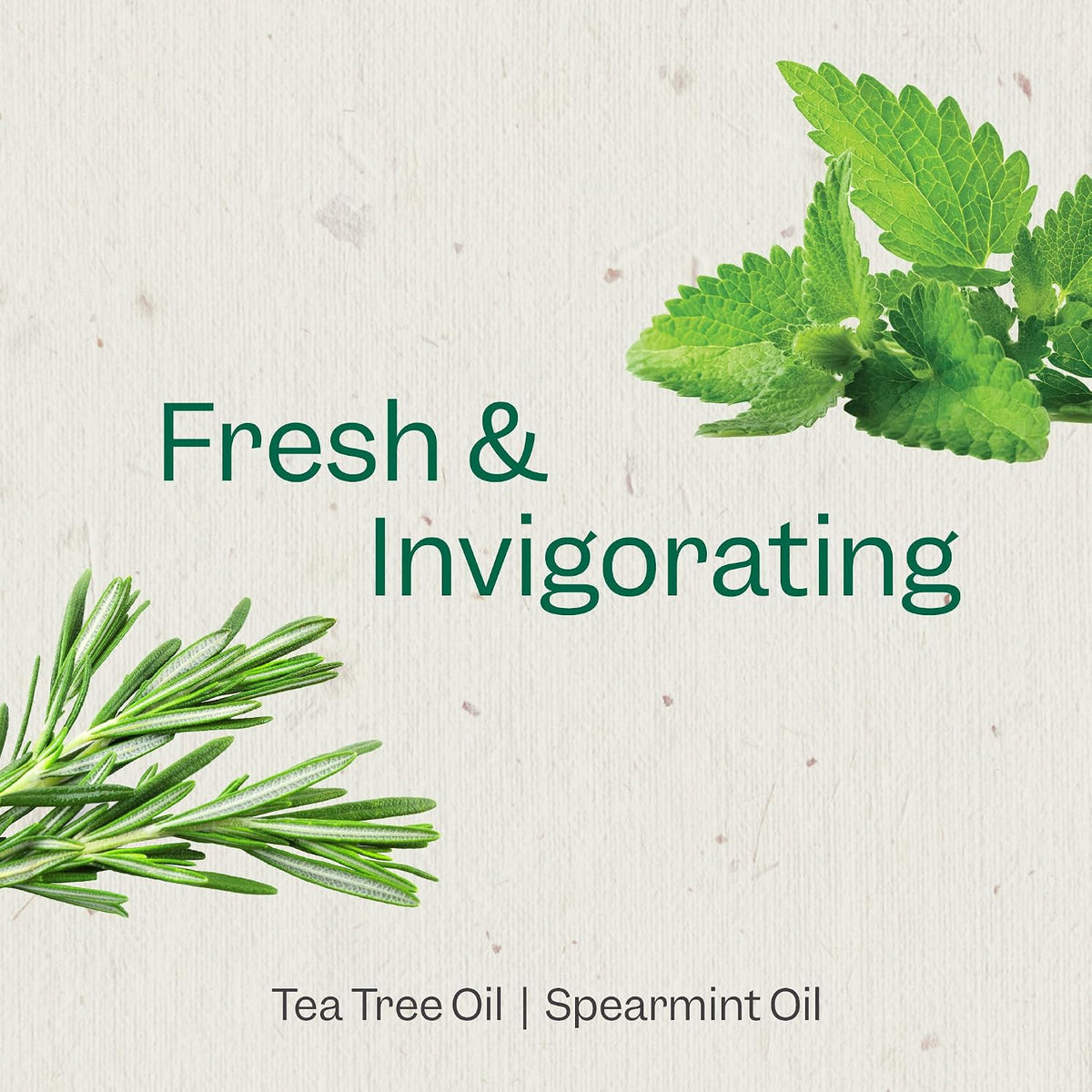 RENPURE Tea Tree & Mint Purifying Body Wash for All Skin Types, 2x24oz