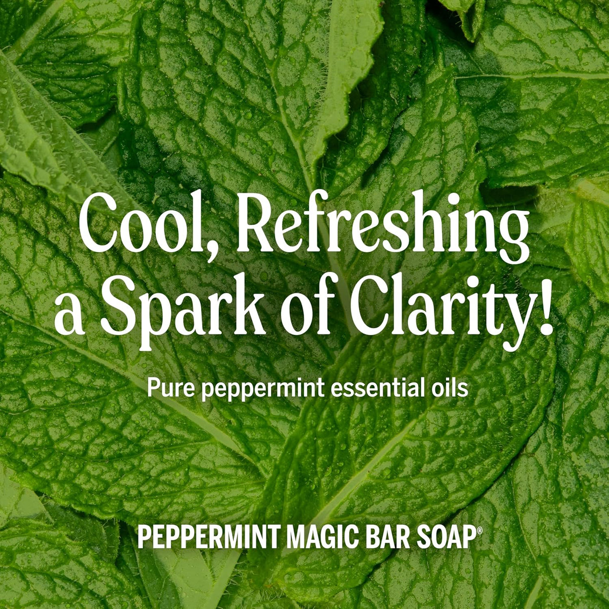 Dr. Bronner's Castile Bar Soap for Men & Women, Peppermint, 5 oz, 6-Pack