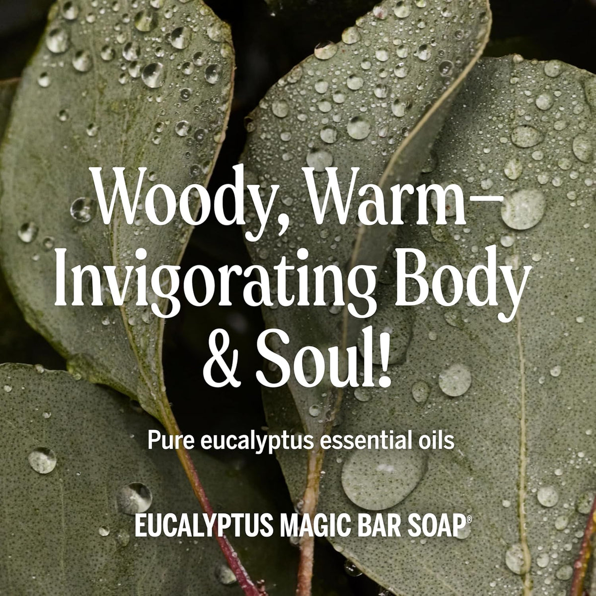 Dr. Bronner's Castile Bar Soap for Men & Women, Eucalyptus, 5 oz, 2-Pack